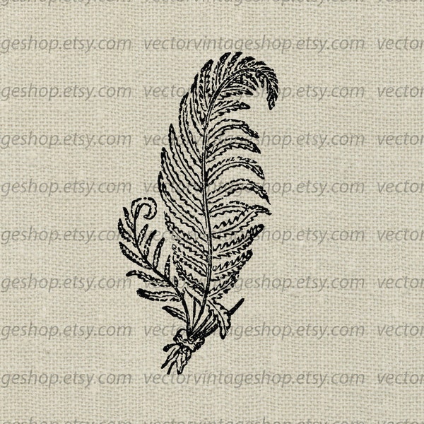 Fern SVG File, Vector Clipart, Lady Fern, Botanical Graphic Art, Commercial Use, Woodland Nature Feather Illustration, Printable Download