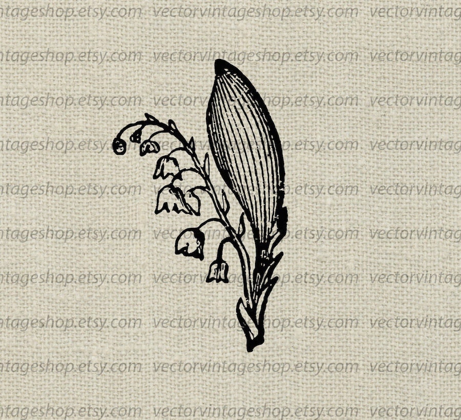 LILY of the VALLEY SVG File, Vintage Style Nature Illustration, Wedding
