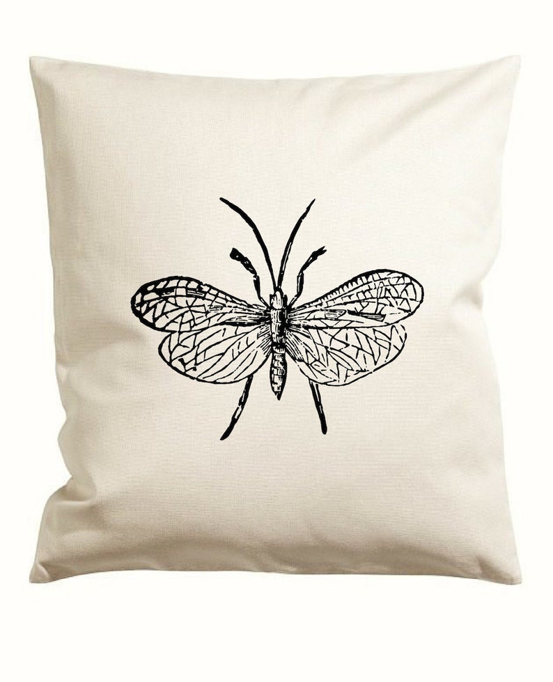 Insect Clipart Vector Graphic Caddisfly Large Winged Clip Etsy