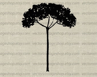 TREE SILHOUETTE SVG File, Slim Tree Clip Art, Commercial Use, Instant Download Graphic, Botanical Art Illustration, jpg png eps