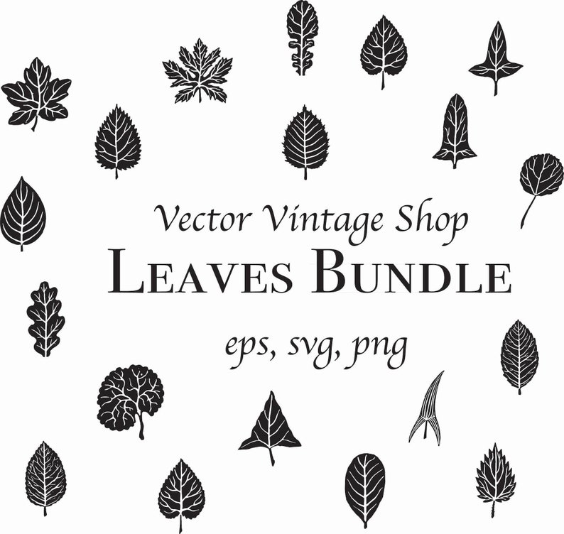 AUTUMN LEAVES SVG Vector Bundle, Leaf Clipart, Fall Decor Graphic, Silhouette Illustration, Back To School Decor, png eps svg zdjęcie 1