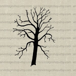 BEECH TREE SVG File, Tree Silhouette Clip Art, Bare Leafless Tree, Printable Download, Commercial Use jpg png eps