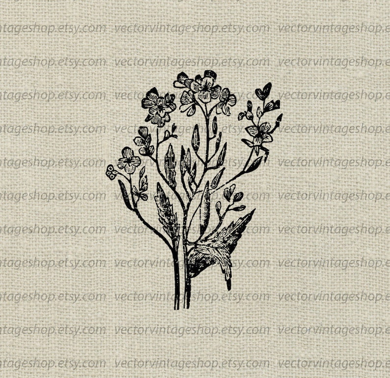 Mustard Leaves Vector Instant Download Herbs Edible Plant Etsy