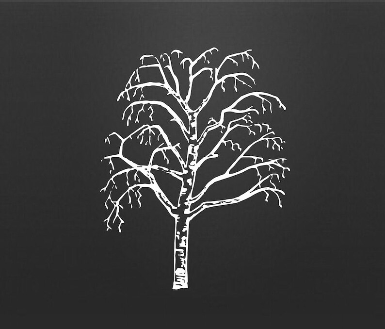 Download Tree Silhouette Vector Clipart Birch Tree Clip Art | Etsy