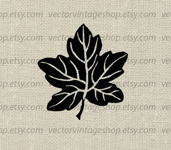 Maple Leaf Silhouette Clipart Sycamore Leaves Vector Clip Etsy Maple Leaf Silhouette Clipart Sycamore Leaves Vector Clip Etsy
