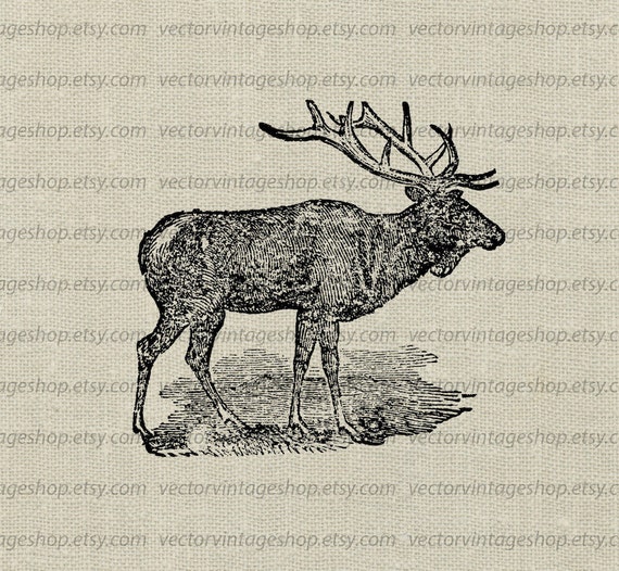 Elk Vector Clipart Instant Download American Elk With Antler Etsy