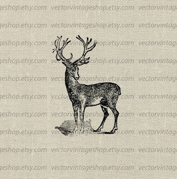 Deer Vector Clipart Instant Download Buck Antler Clip Art Etsy