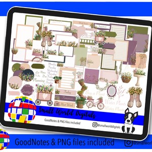 Cute Flower Pots