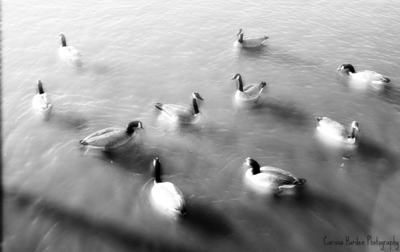 Items similar to Decorative Photo Wall Art on Etsy