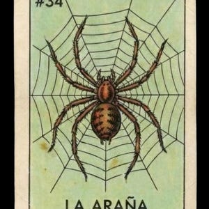 Könnte beinhalten: Eine Karte im Vintage-Stil mit einer braunen Spinne in einem Netz vor einem hellgrünen Hintergrund. Die Karte hat die Nummer 34 in der oberen linken Ecke und die Worte "LA ARAÑA" unten. Die Spinne hat einen detaillierten Körper und Beine.