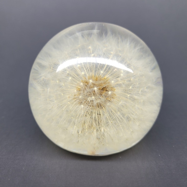 XL Dandelion in Lucite, Resin