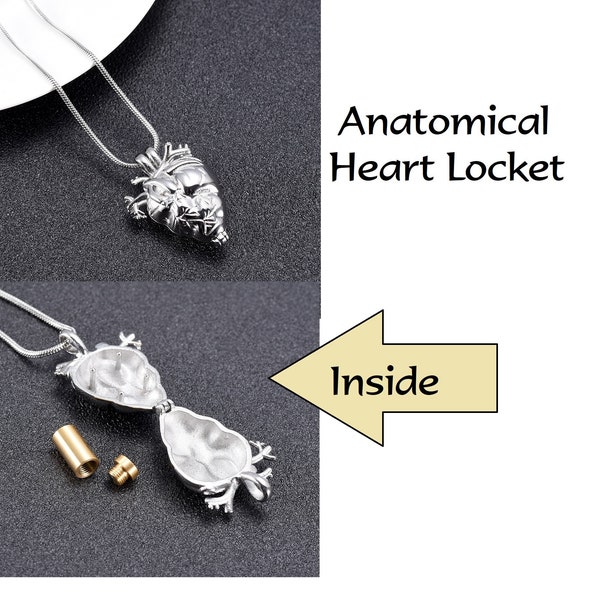 Unisex Anatomical Heart Locket - Stainless Steel - Memorial Jewelry - URN - Pendant Vial holds Cremation Ashes - Keepsake - Sympathy Gift
