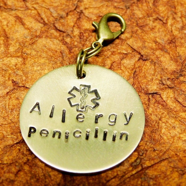 Allergie ou alerte médicale ID Round Charm Zipper Pull - Ajouter une condition personnalisée - Diabète - Épilepsie - Alzheimer - Asthme