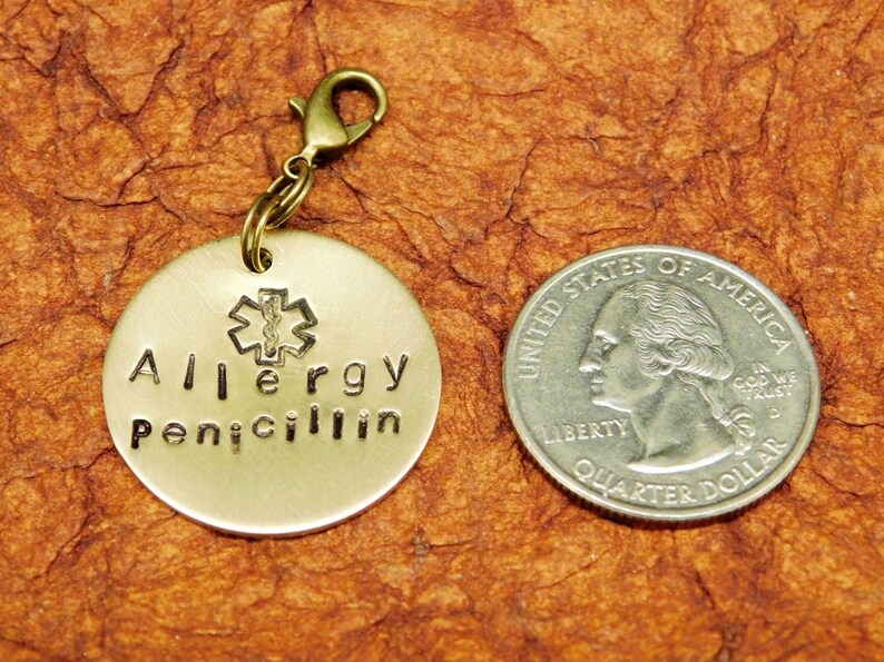 Allergy or Medical Alert ID Round Charm Zipper Pull Add on Etsy