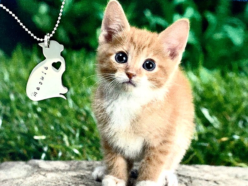 cat memory necklace