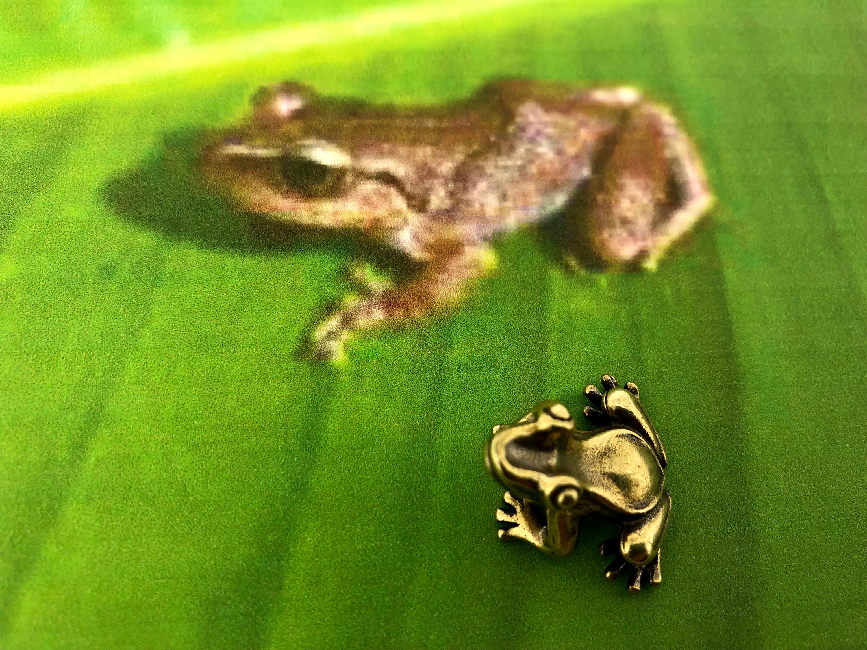 Replica en miniatura del Coqui de Puerto Rico Figura de cobre 3D Regalo Boricua Etsy Mexico