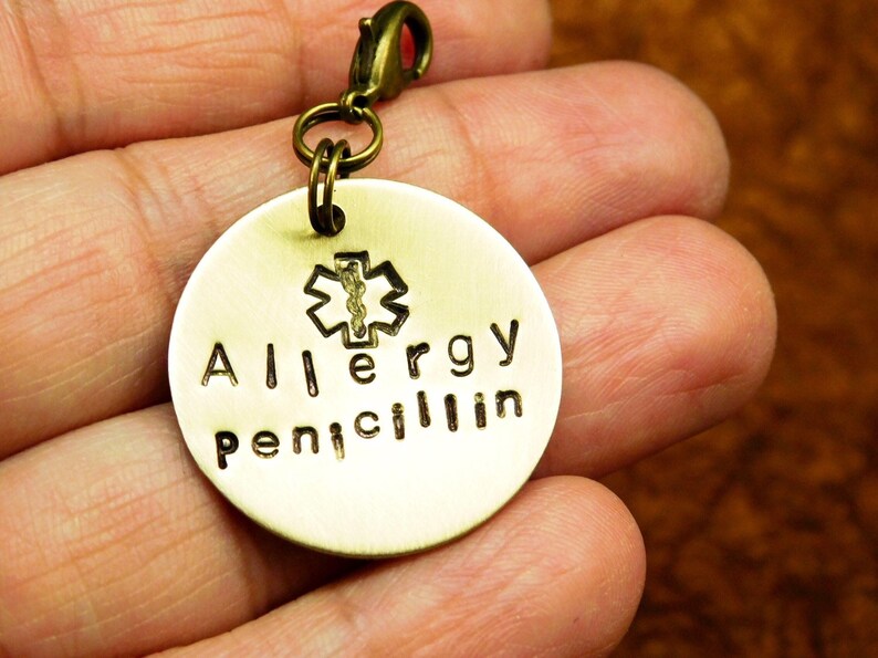 Allergy or Medical Alert ID Round Charm Zipper Pull Add on Etsy
