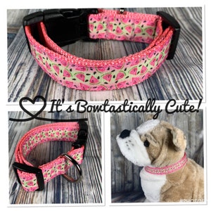 1" Dog Collar- Watermelon Ombre Grosgrain USDR Ribbon Overlay with Pink Nylon Webbing Standard Collar Shown