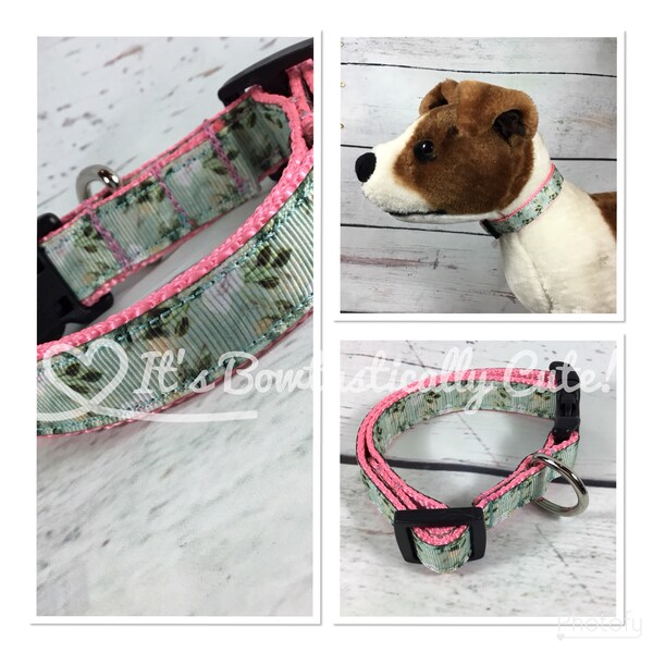 Magnolia Dog Collar Etsy