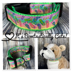1" Dog Collar - Summer Flip Flops  on Pastel Rainbow Grosgrain USDR Ribbon Overlay with Bright Green Nylon Webbing Standard Collar Shown