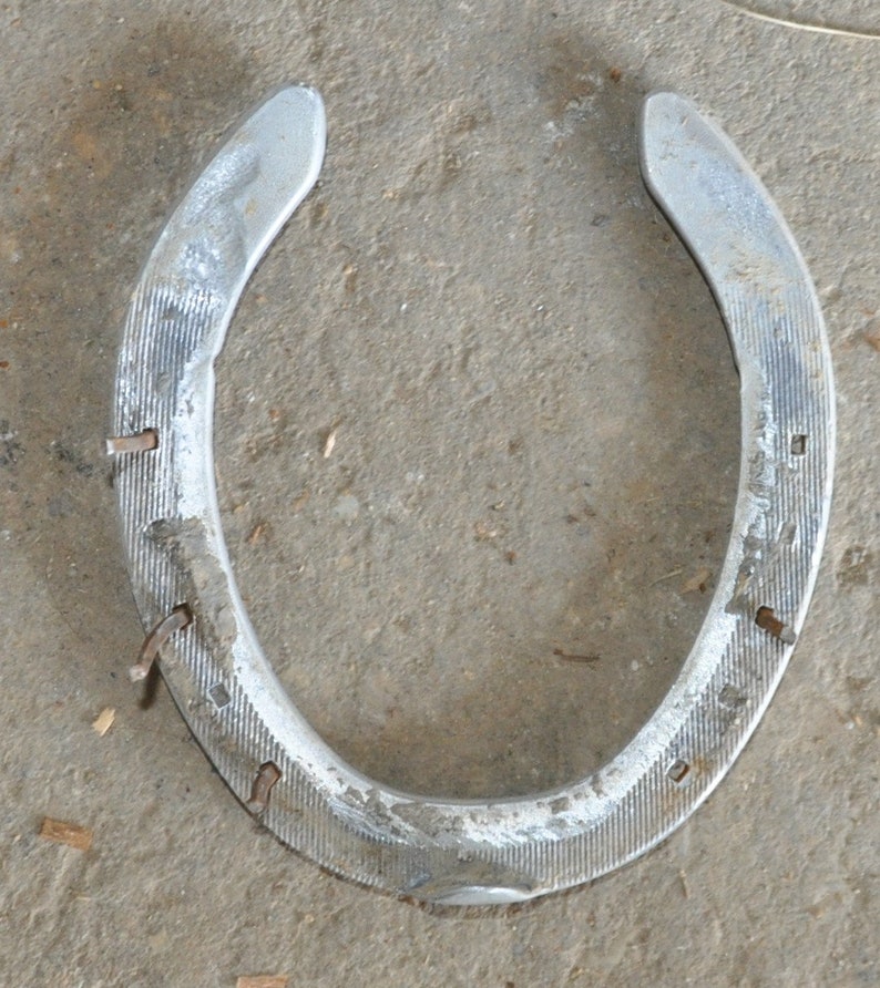 Used Aluminum Authentic Horseshoes Great for Crafts Etsy