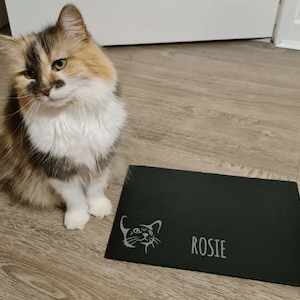 Personalised Pet Feeding Slate, Made from Riven Slate, Laser-Etched, 30 x 20.5cm