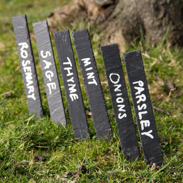 Set of 6 Slate Plant Markers (SR34)