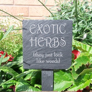 Plant Marker  &#39;Exotic herbs (they just look like weeds)&#39;