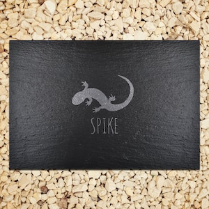 May include: Black slate tile with a grey lizard silhouette and the word "SPIKE" written in white.