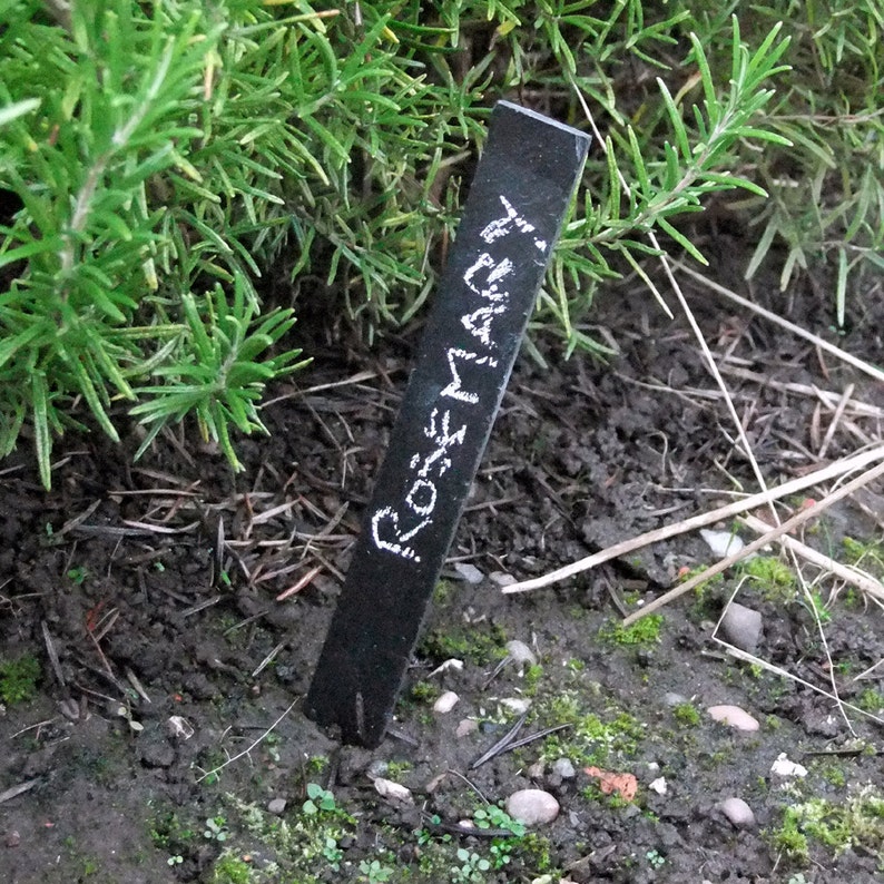 Set of 6 Slate Plant Markers SR34 Etsy UK