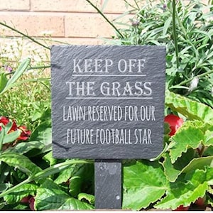 Pflanzen Marker - Grass fern halten (sr1706)