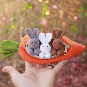 Easter bunny, Organic Stuffed Bunnies in Carrot Pouch: Easter Gift