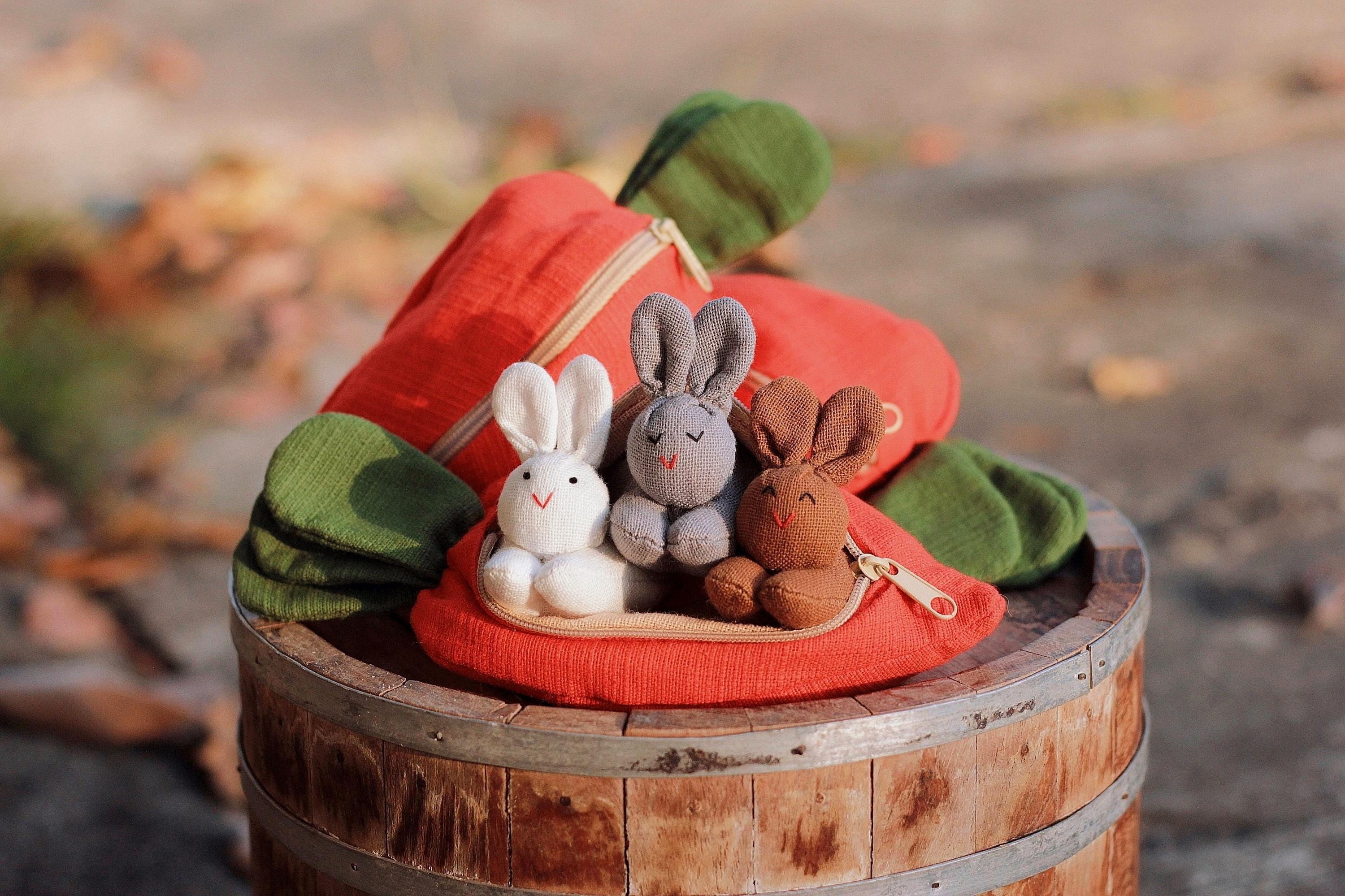 3 Organic stuffed bunnies in carrot zip purse, Bunny Easter, Bunny toy, Home decor, White bunny plush, Children&#39;s gift