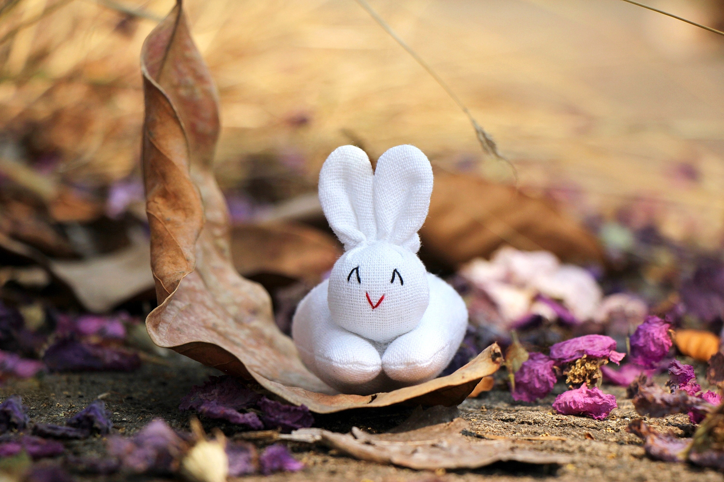 3 Organic stuffed bunnies in carrot zip purse, Bunny Easter, Bunny toy, Home decor, White bunny plush, Children&#39;s gift