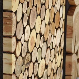 Tree trunk wall art set of 3, tree slices triptych large, wood wall art set of 3, 3 piece tree slice wall art, environmental wall decor, image 7