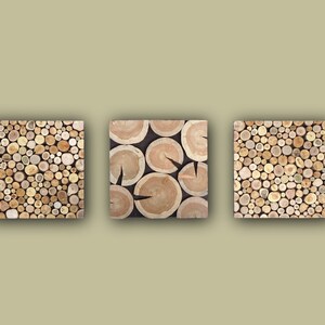 Tree trunk wall art set of 3, tree slices triptych large, wood wall art set of 3, 3 piece tree slice wall art, environmental wall decor, image 6