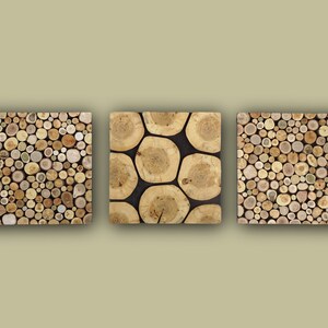 Tree trunk wall art set of 3, tree slices triptych large, wood wall art set of 3, 3 piece tree slice wall art, environmental wall decor, image 4