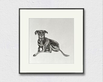 Custom Drawn Pet Portrait | Ink Pen Dog Portrait | Custom Dog Drawing | Fathers Day Gifts | Dog Present