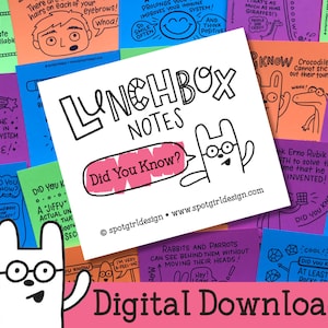 Você sabia? Notas para a lancheira imprimíveis (conjunto de 24) // Download digital // Cartões para lancheira infantil // Desenhos e piadas bobas