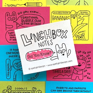 Did You Know? Fun Facts Lunchbox Notes for Kids (Set of 24)