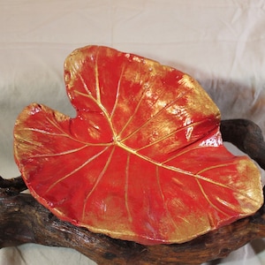 CALADIUM (12 x 9 1/2 inches) Concrete Leaf Casting - This is a stunning leave with vibrant reds and gold highlights.  FREE Shipping!!!