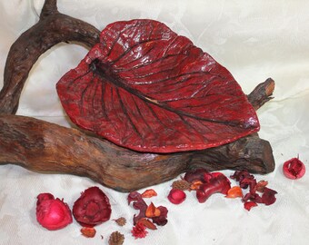 SKUNK CABBAGE (11")  Concrete Leaf Casting - A great accent for any room which needs a bold red flare, FREE Shipping!