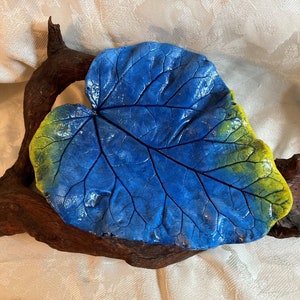 11&quot; RHUBARB Concrete Leaf Casting - Brilliant blues, deep contrasting veins is a great gift for any &quot;hard to buy for folks&quot;
