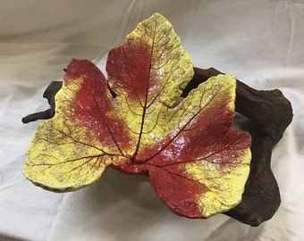 Pumpkin (14") - Concrete Leaf Casting By Forever Leaves would look amazing in your home, office or garden.  FREE Shipping!!!