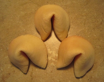 3 - "We're having a Baby!"  Plain Real Vanilla Fortune Cookies - Pregnancy Announcement - Pregnancy Reveal