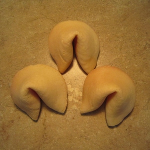 3 - &quot;We&#39;re Pregnant!&quot;  Plain Real Vanilla Fortune Cookies - Pregnancy Announcement - Pregnancy Reveal