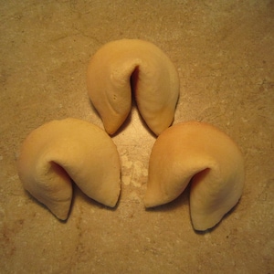 3 CUSTOM &quot;We&#39;re Pregnant!&quot;  Plain Real Vanilla Fortune Cookies - Pregnancy Announcement - Pregnancy Reveal