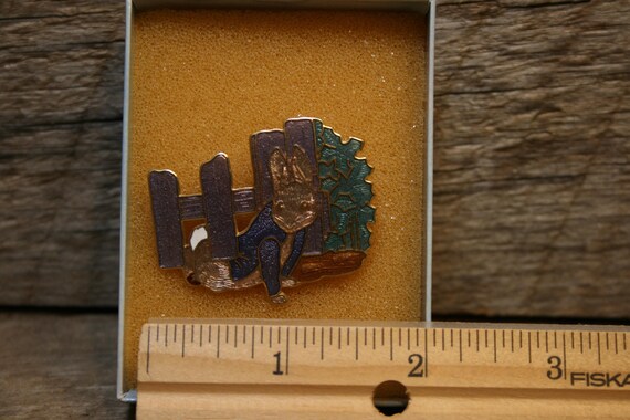 Peter Rabbit Pin - image 4
