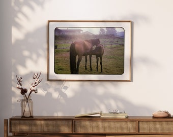 Horses - 1967