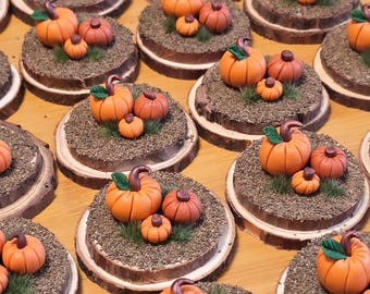 Pumpkin Patch | Halloween Pumpkins